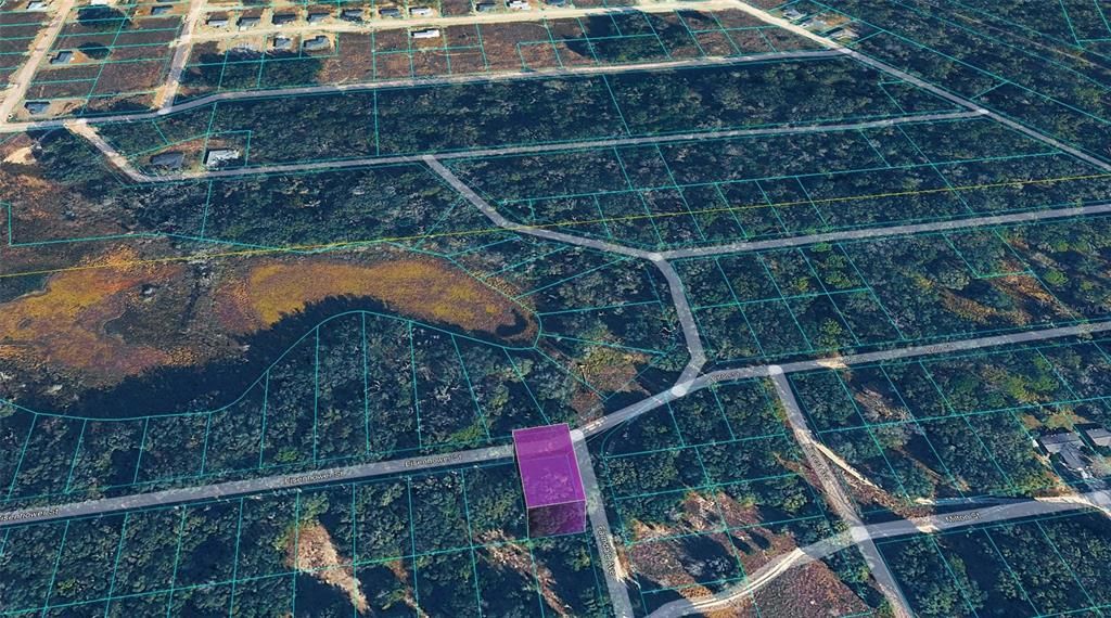 待售: $10,900 (0.23 acres)