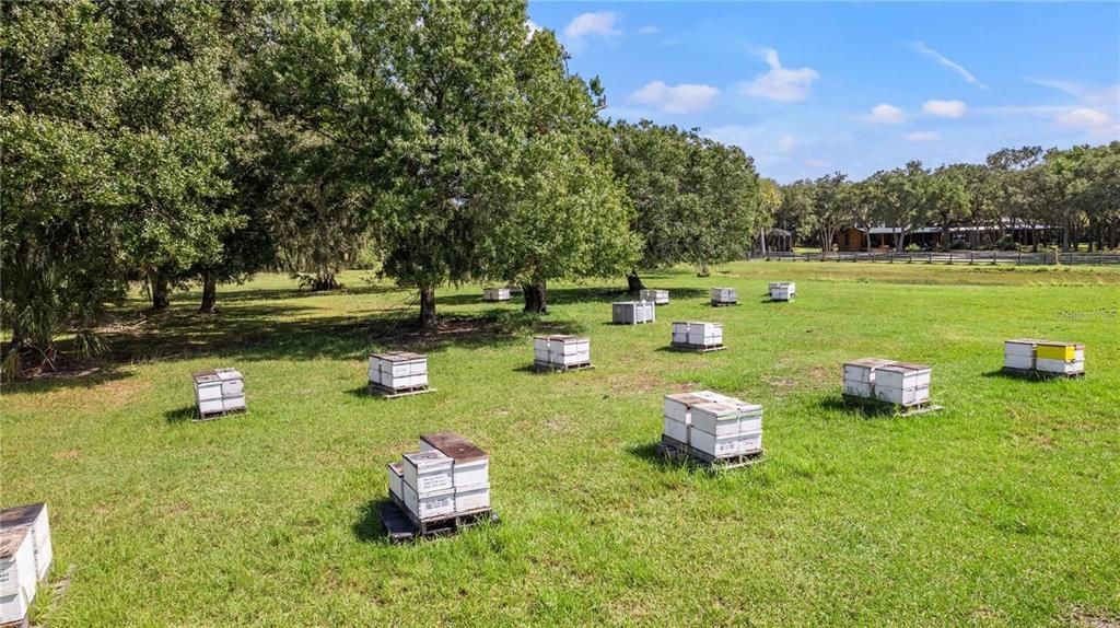 待售: $1,500,500 (6.75 acres)