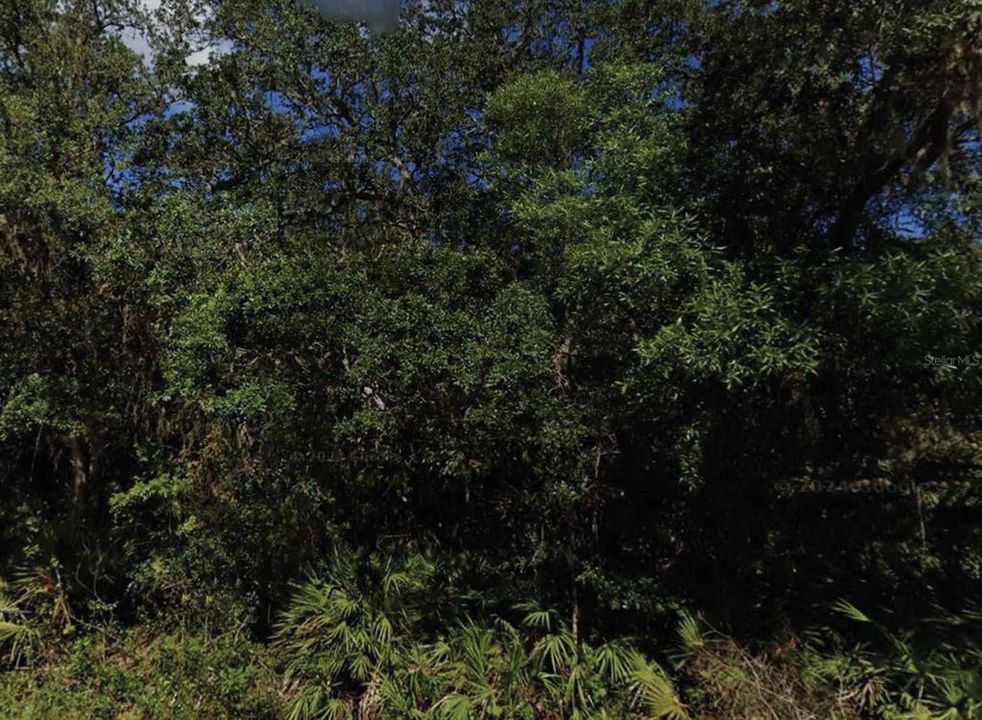 Recently Sold: $9,000 (0.26 acres)
