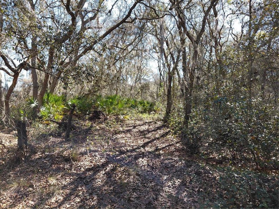 Недавно продано: $49,000 (1.16 acres)