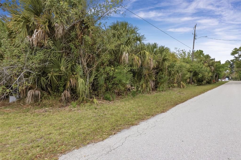 待售: $80,000 (0.20 acres)