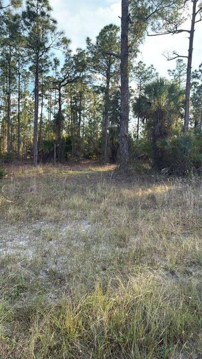 For Sale: $35,000 (0.26 acres)