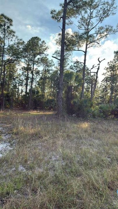 For Sale: $35,000 (0.26 acres)