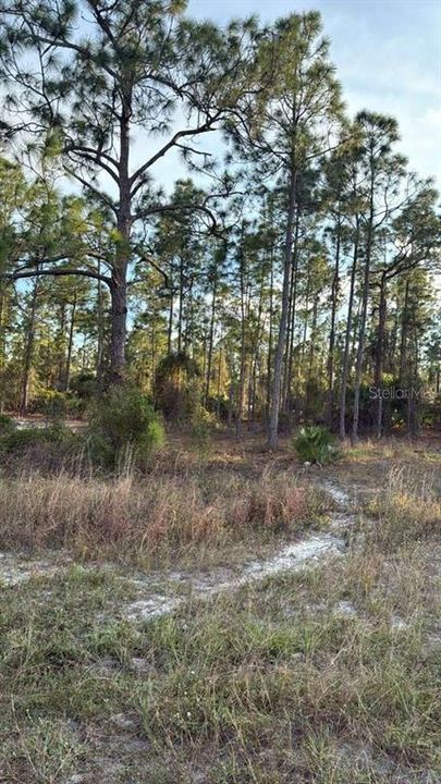 For Sale: $35,000 (0.26 acres)