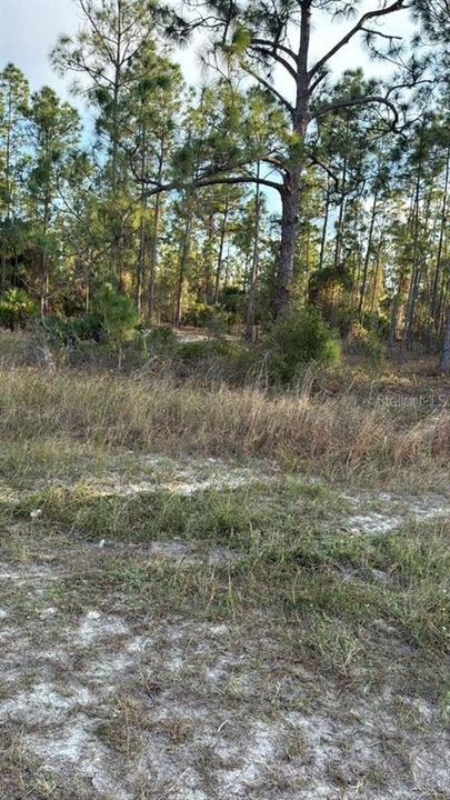 For Sale: $35,000 (0.26 acres)