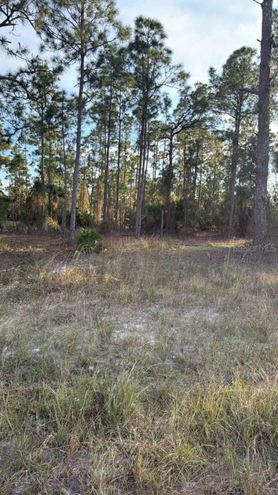 For Sale: $35,000 (0.26 acres)