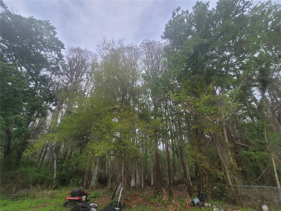 На продажу: $74,000 (0.61 acres)