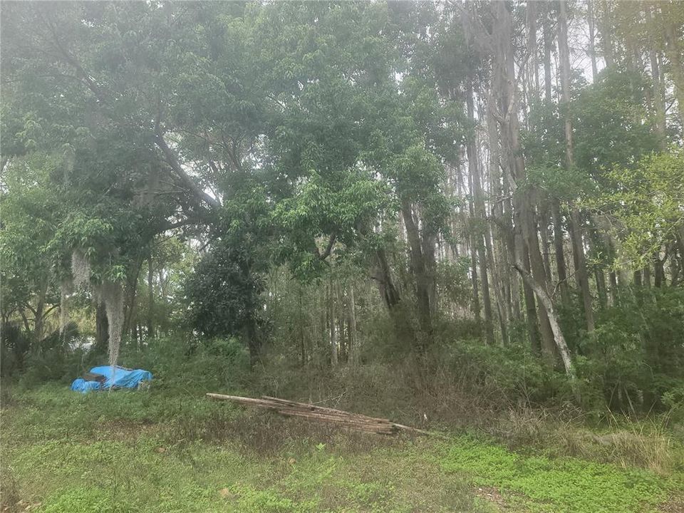 На продажу: $74,000 (0.61 acres)
