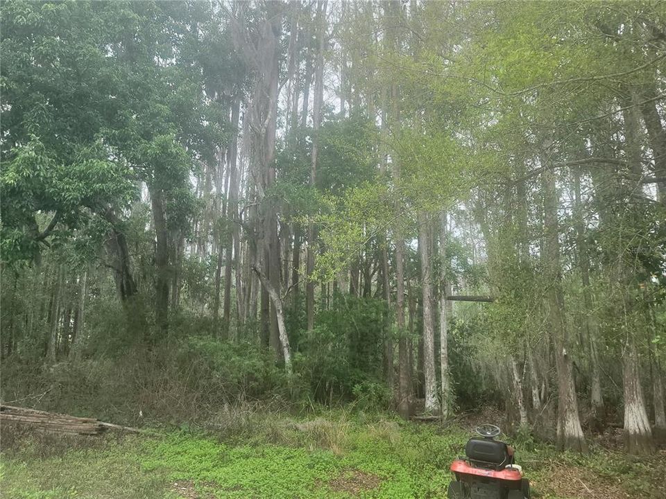 На продажу: $74,000 (0.61 acres)