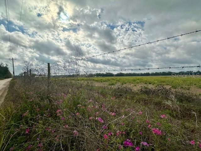 For Sale: $746,880 (46.68 acres)