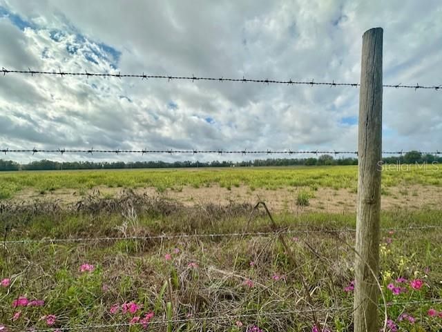 For Sale: $746,880 (46.68 acres)