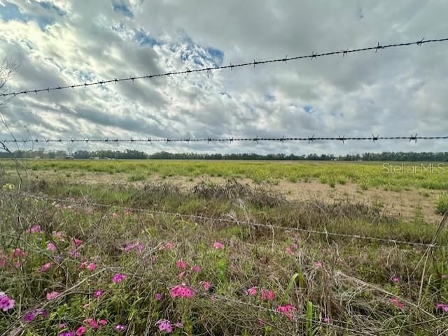 For Sale: $746,880 (46.68 acres)