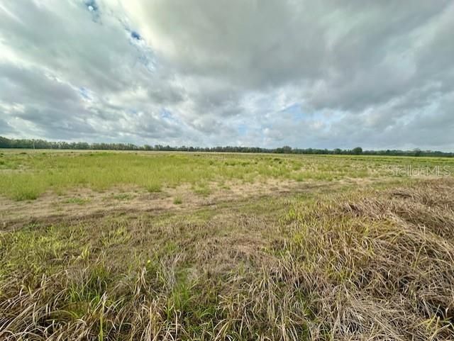 For Sale: $746,880 (46.68 acres)