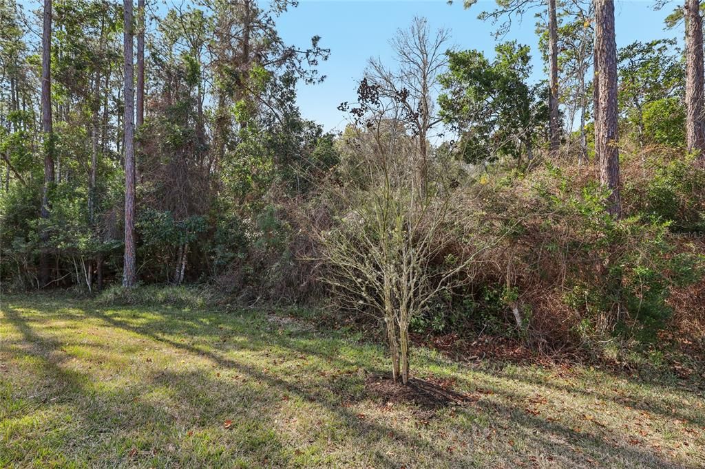 For Sale: $714,000 (4 beds, 4 baths, 2912 Square Feet)