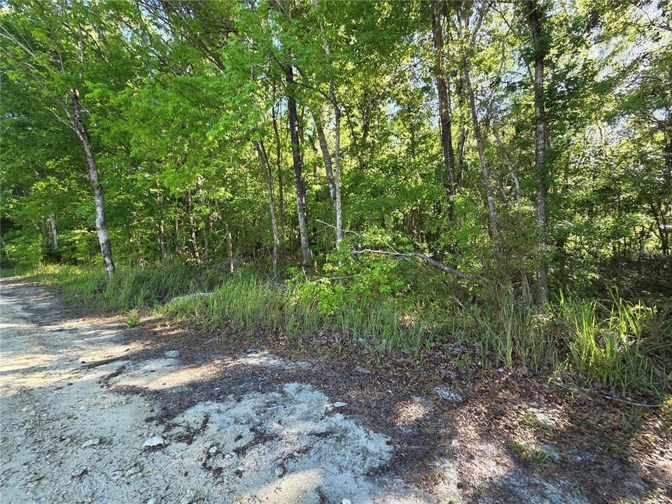 На продажу: $21,500 (0.33 acres)