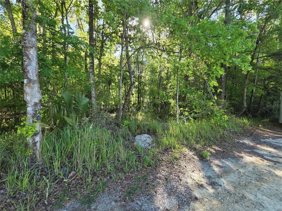 На продажу: $21,500 (0.33 acres)