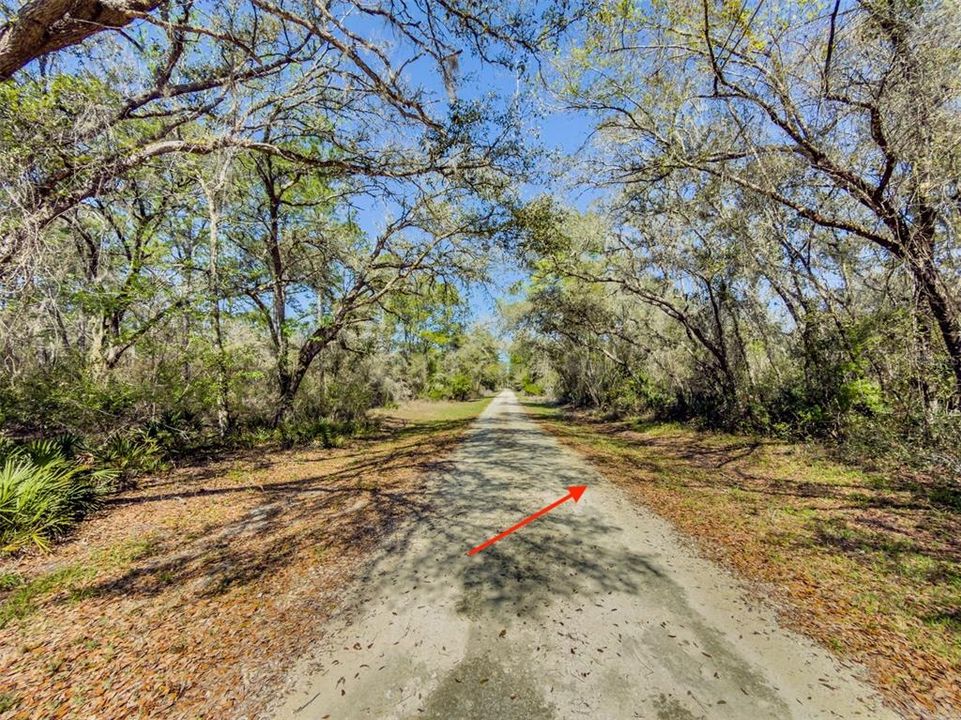 En Venta: $40,600 (1.16 acres)