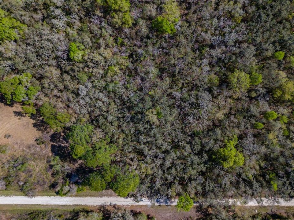 En Venta: $40,600 (1.16 acres)