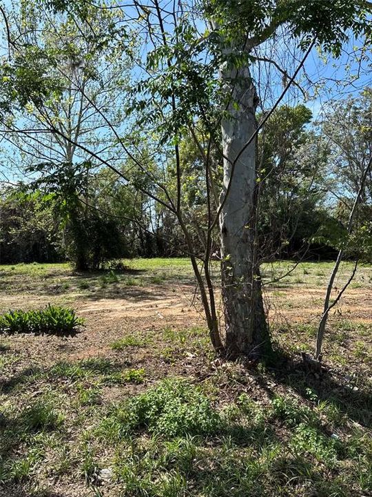 En Venta: $250,000 (0.47 acres)