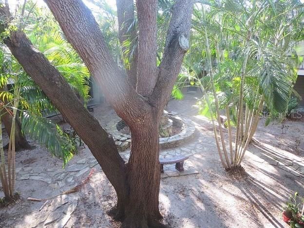 For Rent: $1,500 (1 beds, 1 baths, 494 Square Feet)