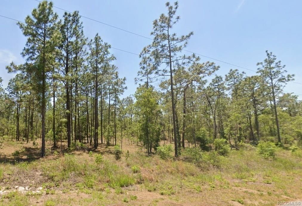 En Venta: $30,000 (1.00 acres)
