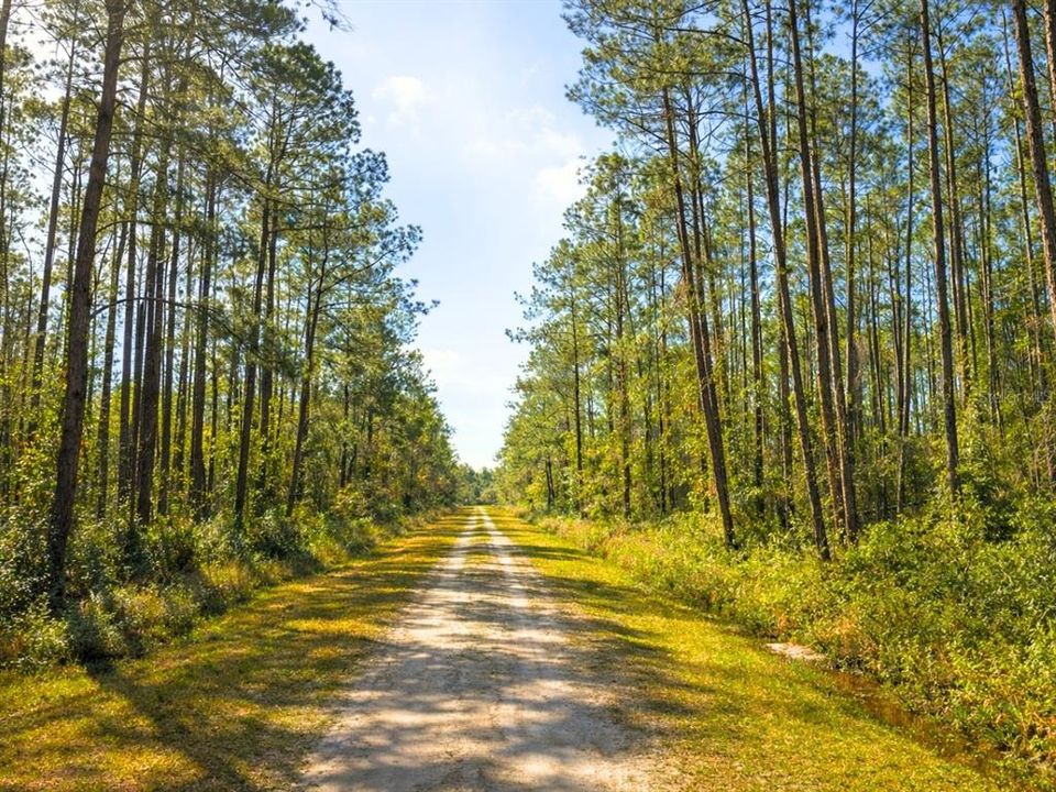 En Venta: $24,500 (1.13 acres)