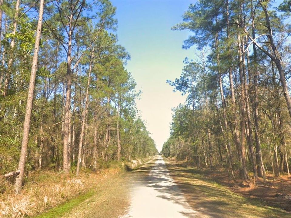 En Venta: $24,500 (1.13 acres)