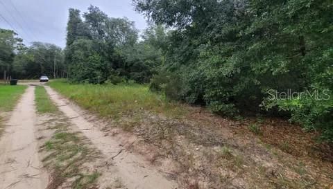 En Venta: $29,000 (1.25 acres)