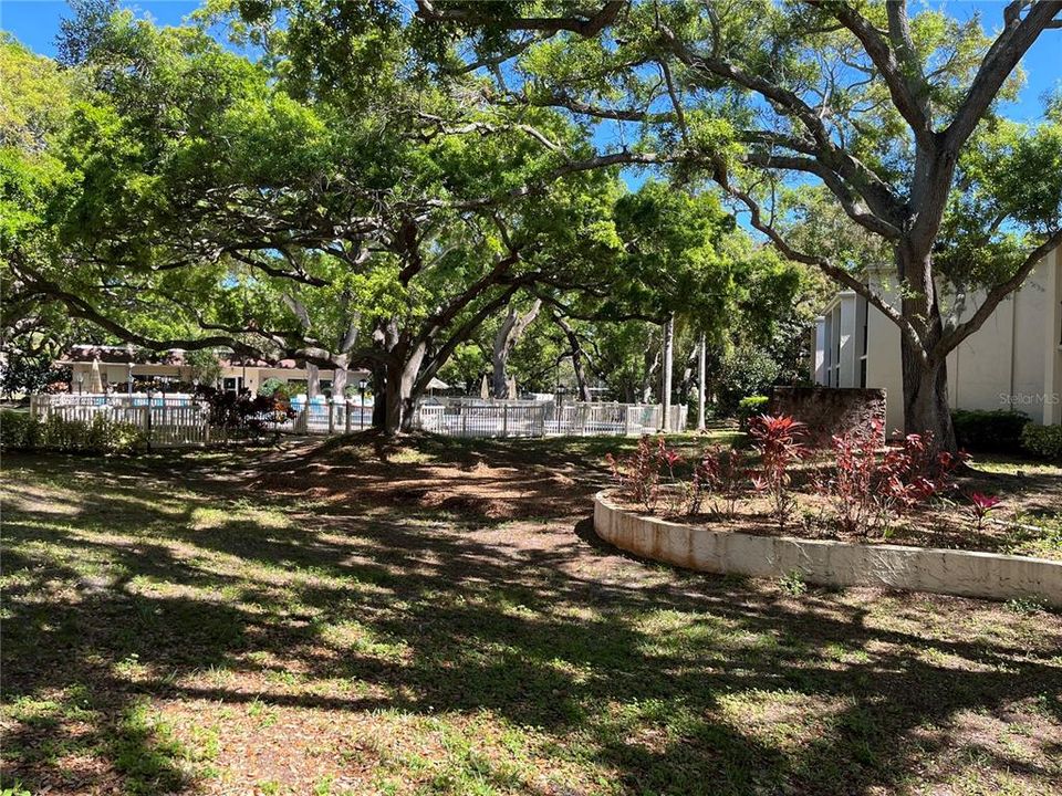 待售: $120,000 (1 贝兹, 1 浴室, 664 平方英尺)