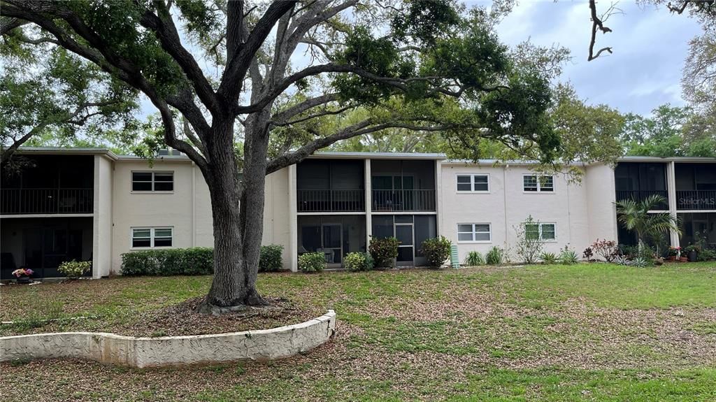 待售: $120,000 (1 贝兹, 1 浴室, 664 平方英尺)