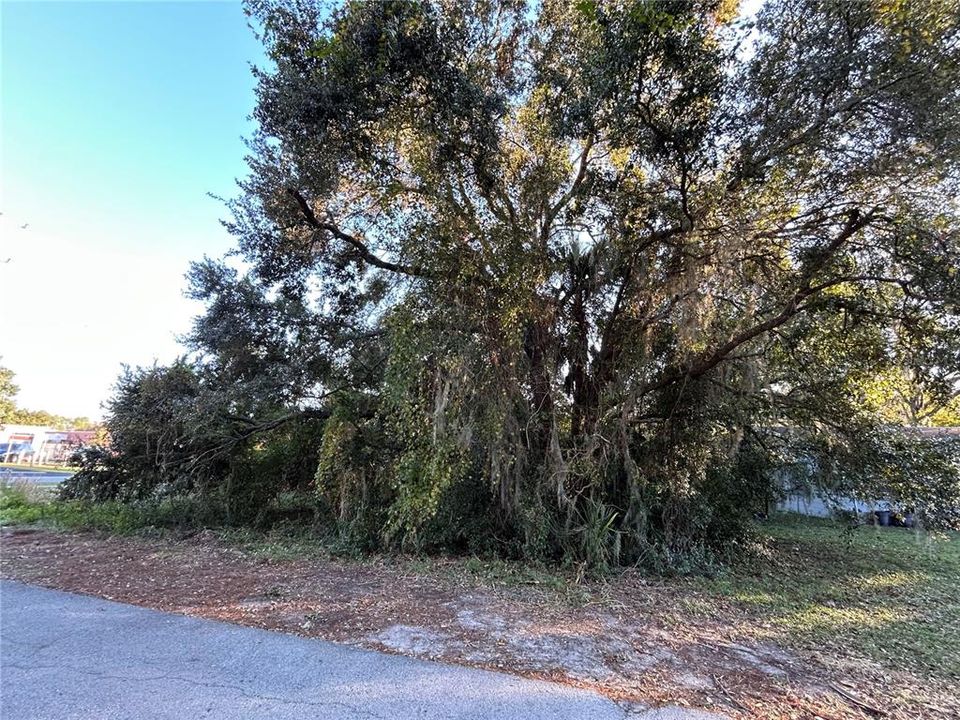 For Sale: $14,500 (0.22 acres)