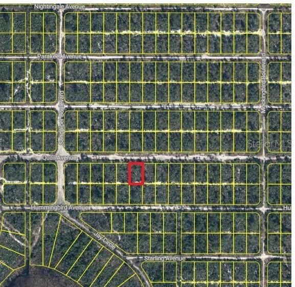 For Sale: $8,900 (0.23 acres)