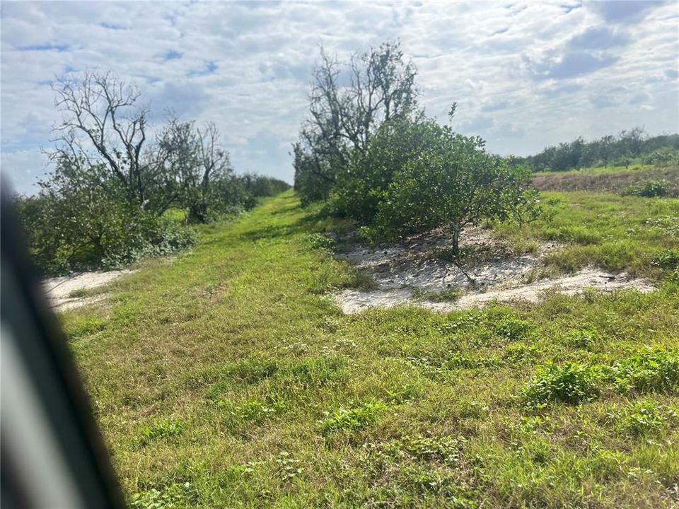 На продажу: $255,000 (30.00 acres)