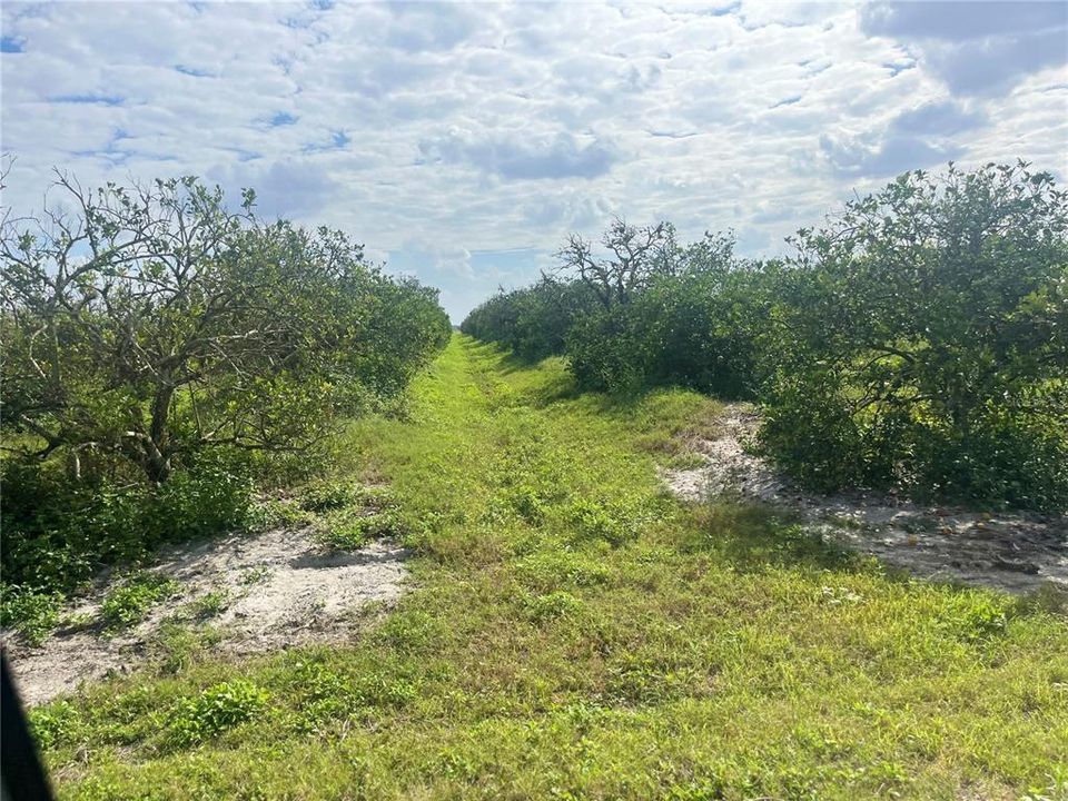 На продажу: $255,000 (30.00 acres)