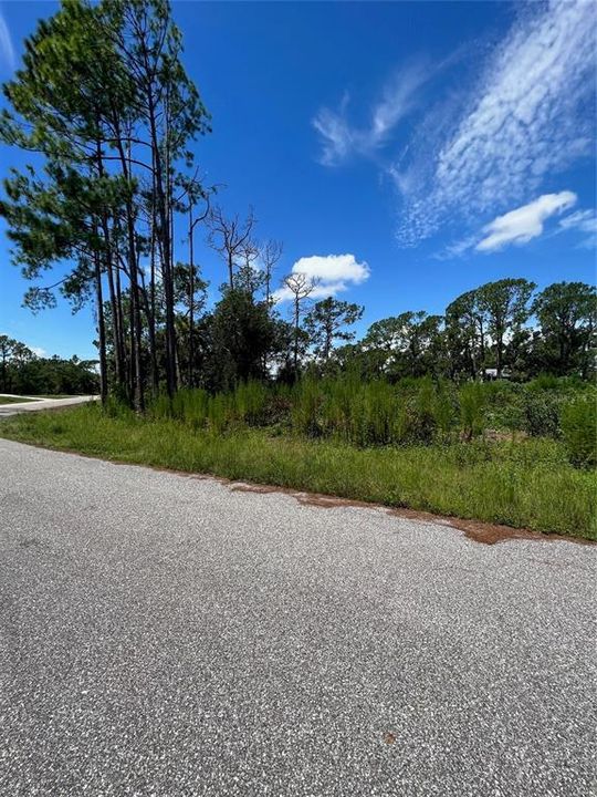 En Venta: $30,000 (0.25 acres)