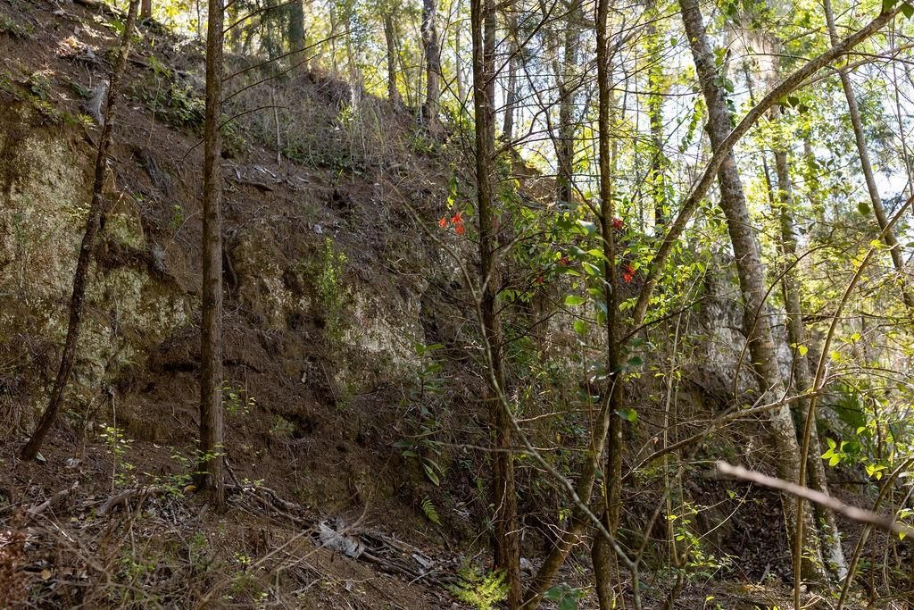 Active With Contract: $299,000 (26.76 acres)