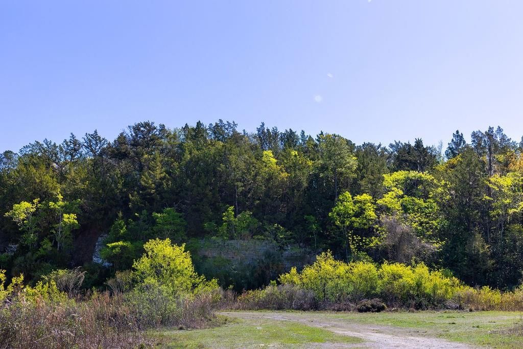 Active With Contract: $299,000 (26.76 acres)