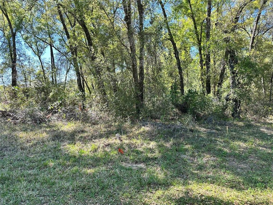 Recently Sold: $20,000 (0.22 acres)
