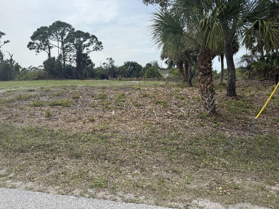 Active With Contract: $35,000 (0.24 acres)