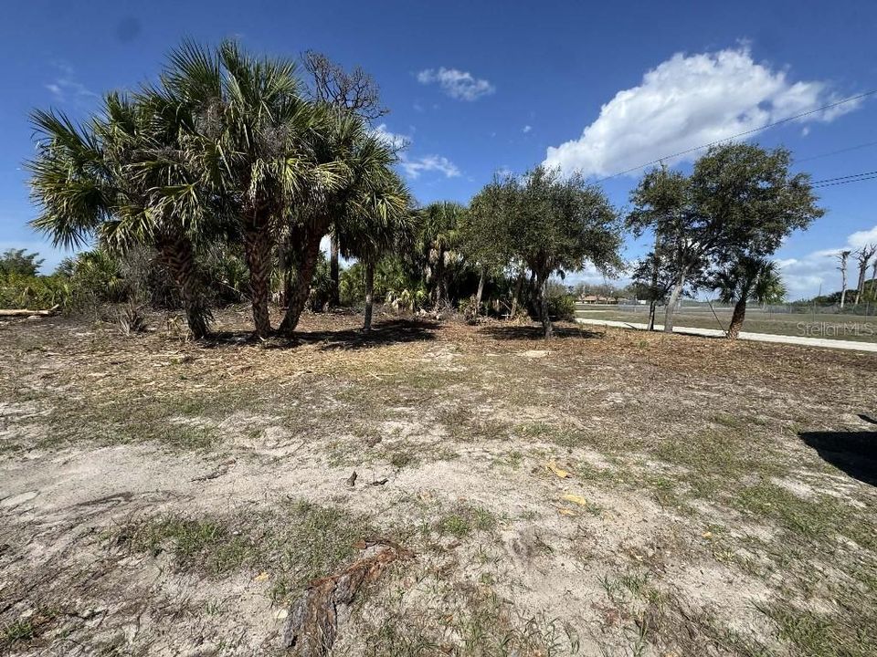 Active With Contract: $35,000 (0.24 acres)