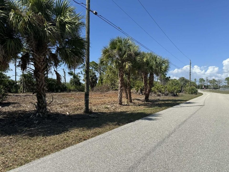 Active With Contract: $35,000 (0.23 acres)
