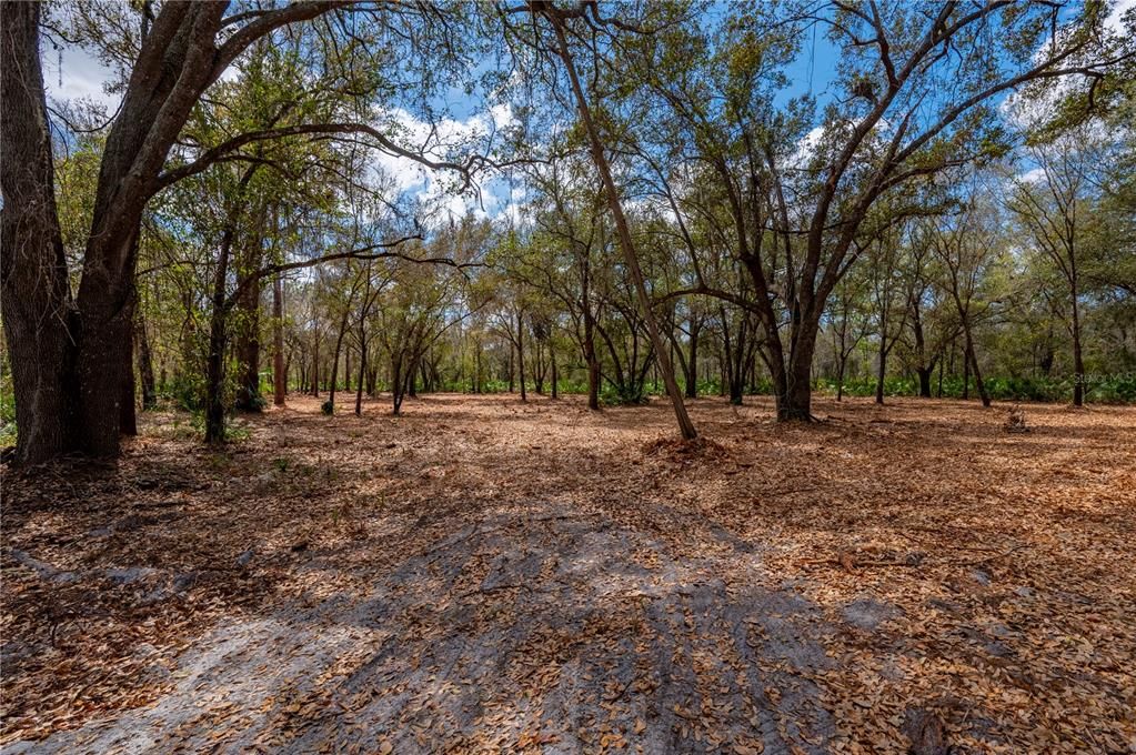 For Sale: $575,000 (30.00 acres)