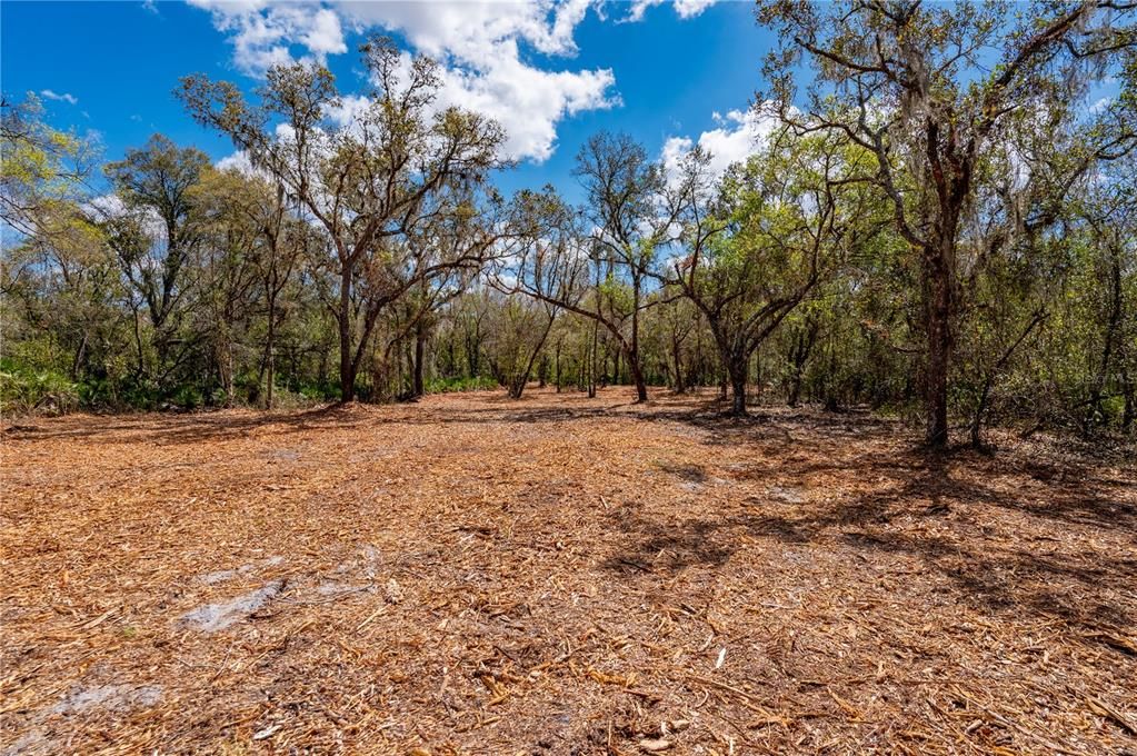 For Sale: $575,000 (30.00 acres)