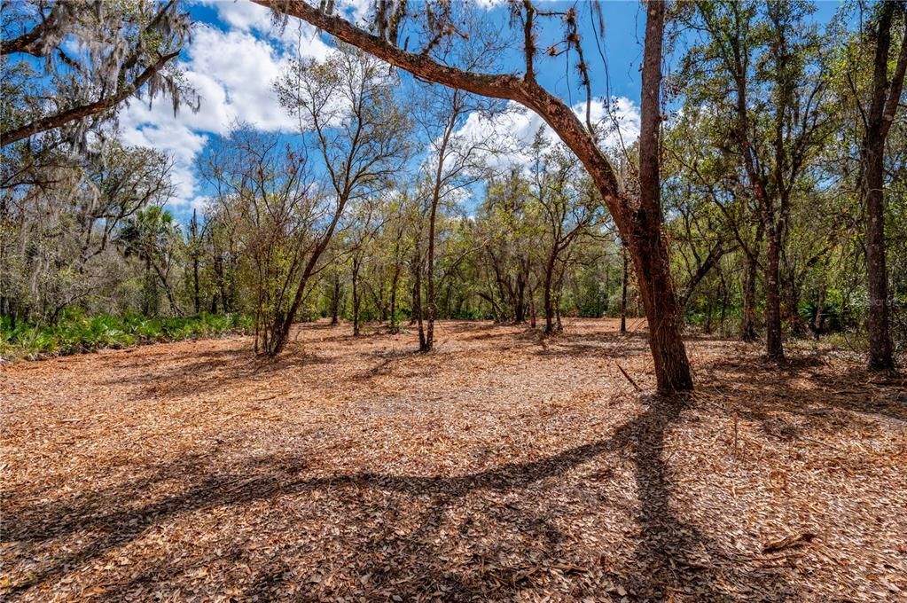 For Sale: $575,000 (30.00 acres)