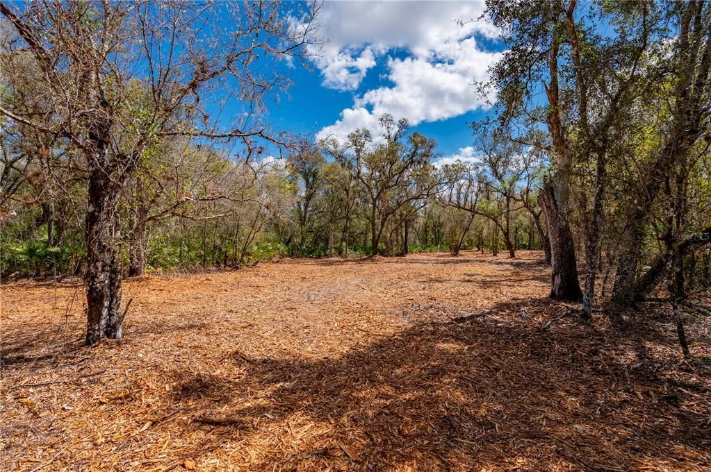 For Sale: $575,000 (30.00 acres)