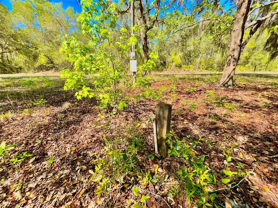 待售: $49,900 (0.23 acres)