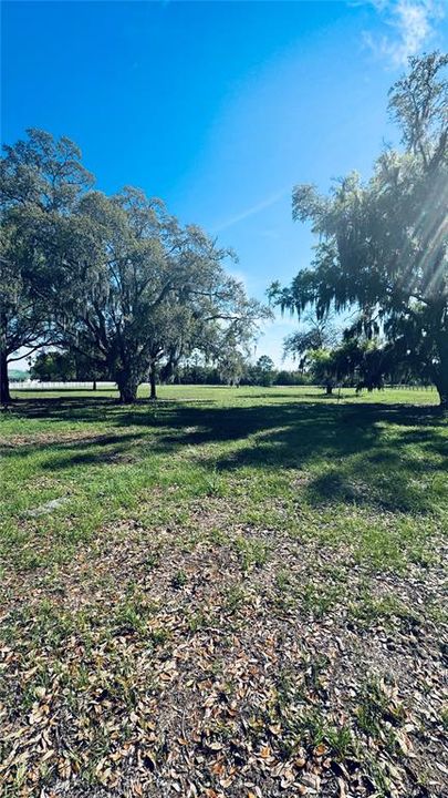 待售: $229,000 (4.39 acres)