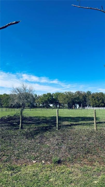 待售: $229,000 (4.39 acres)