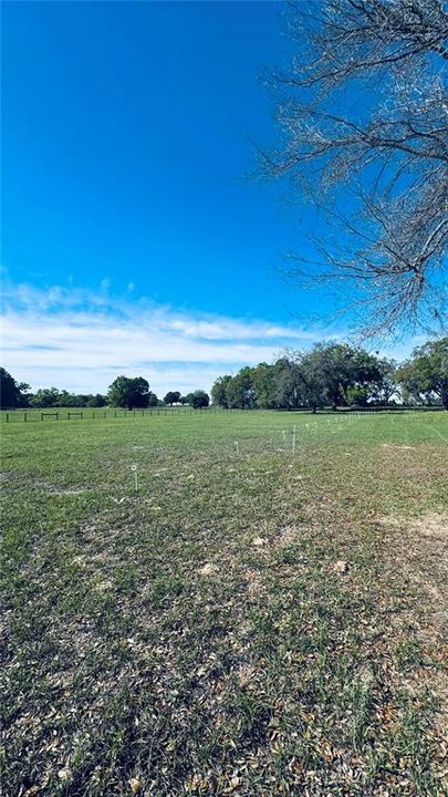 待售: $229,000 (4.39 acres)