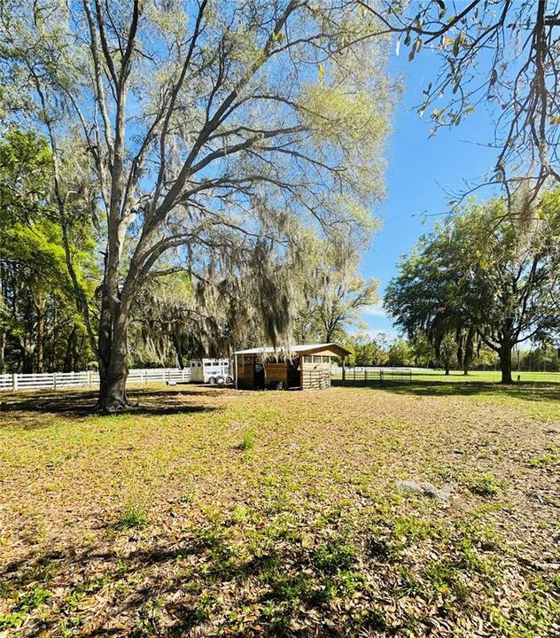 待售: $229,000 (4.39 acres)